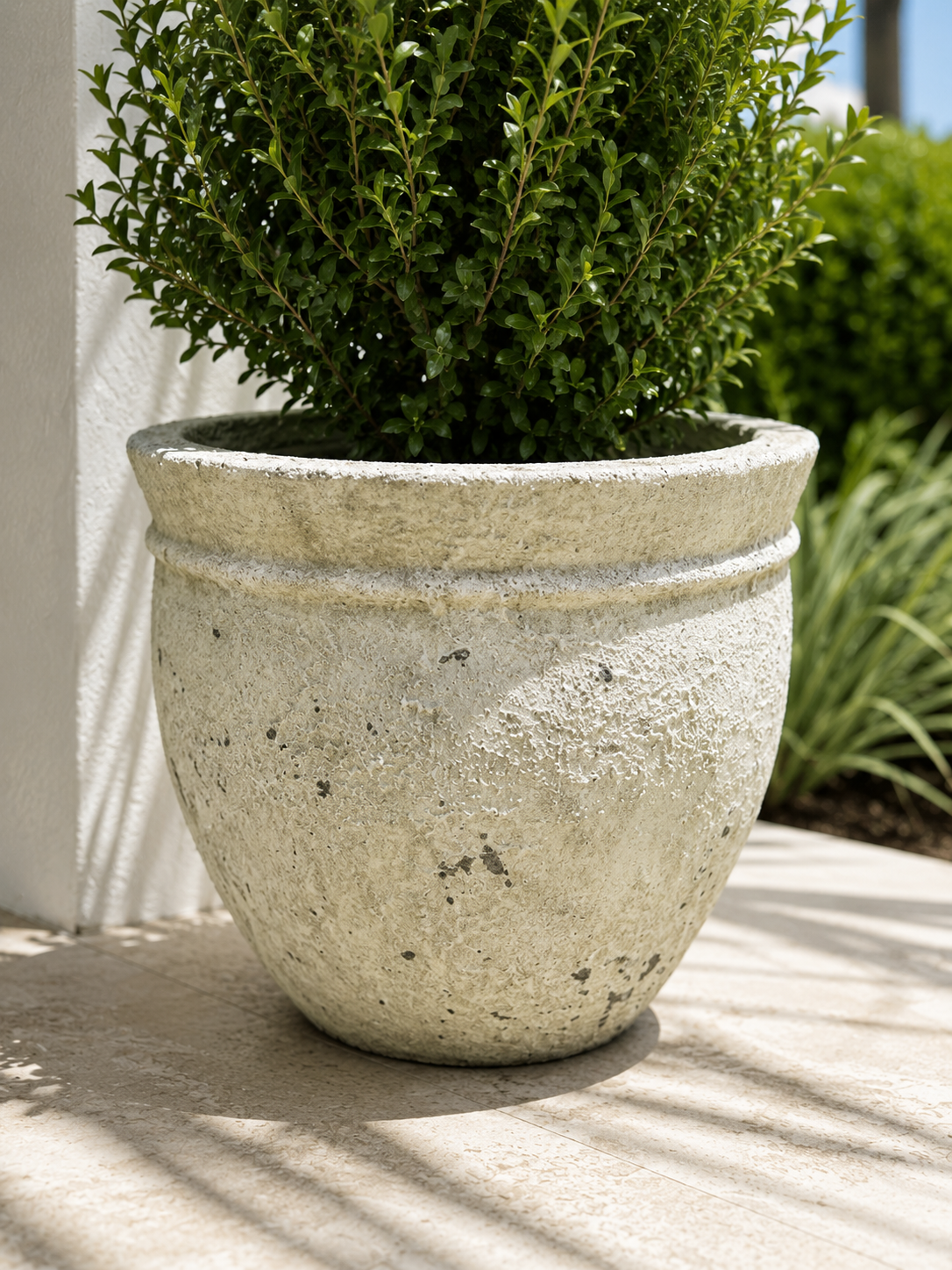 Coastal Ficonstone Planter – 11”H x 13”W