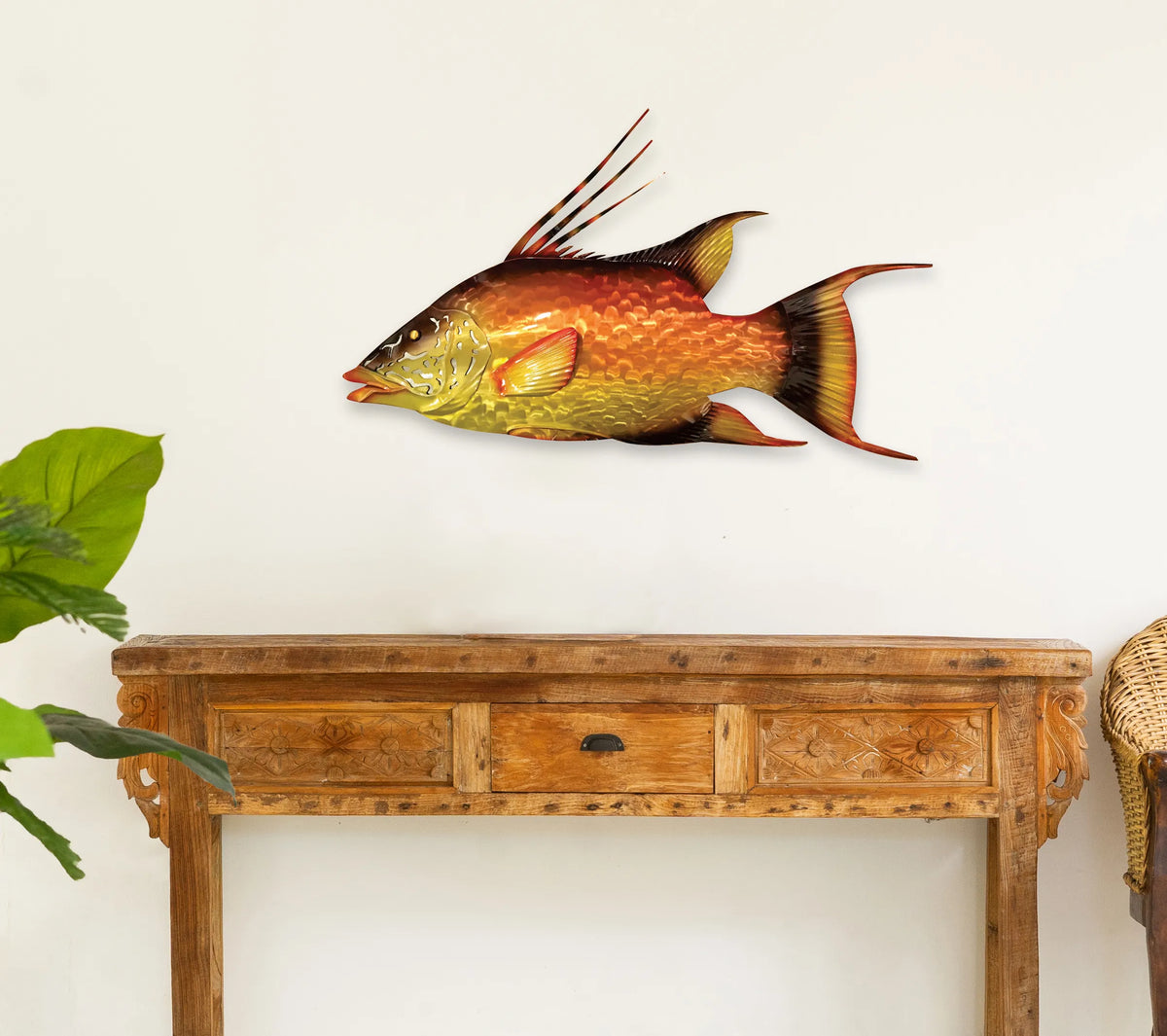 Vibrant hogfish, additional view 3