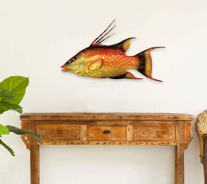 Vibrant hogfish, additional view 3