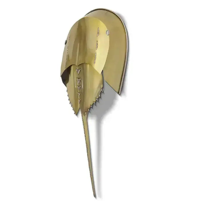 Horseshoe crab stainless steel, additional view 2