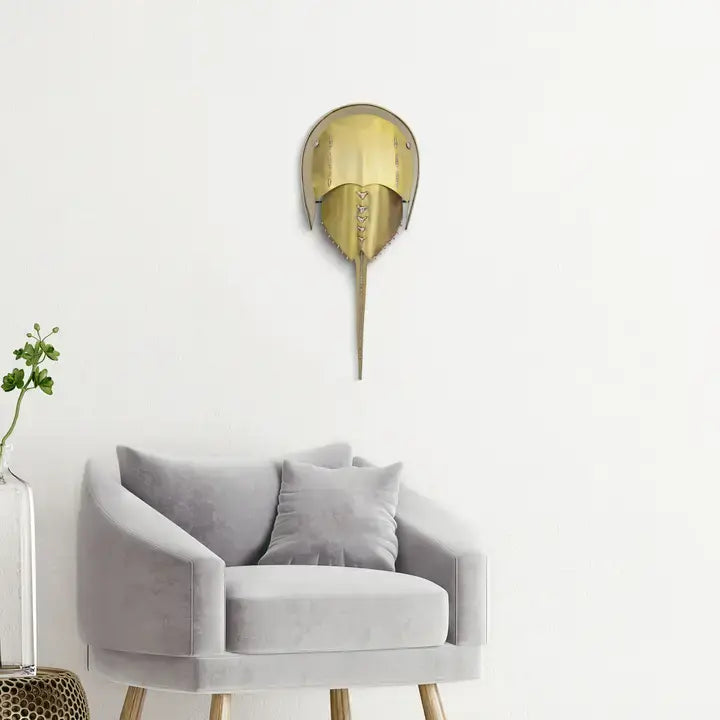 Horseshoe crab stainless steel, additional view 4