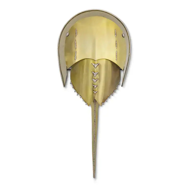 Horseshoe crab stainless steel, additional view 3